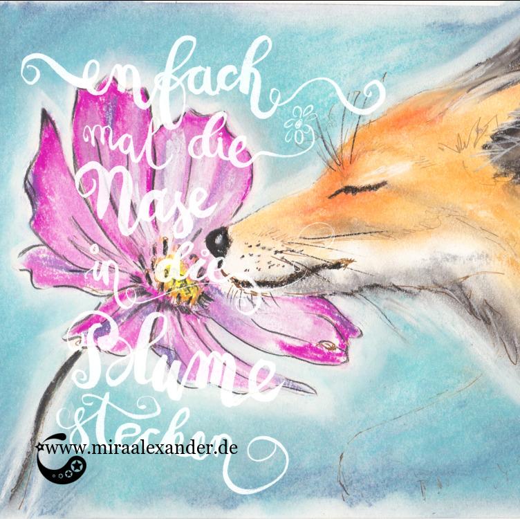 Einfach mal die Nase in die Blume stecken wie der Fuchs, von Mira Alexander. Pastellkreide.